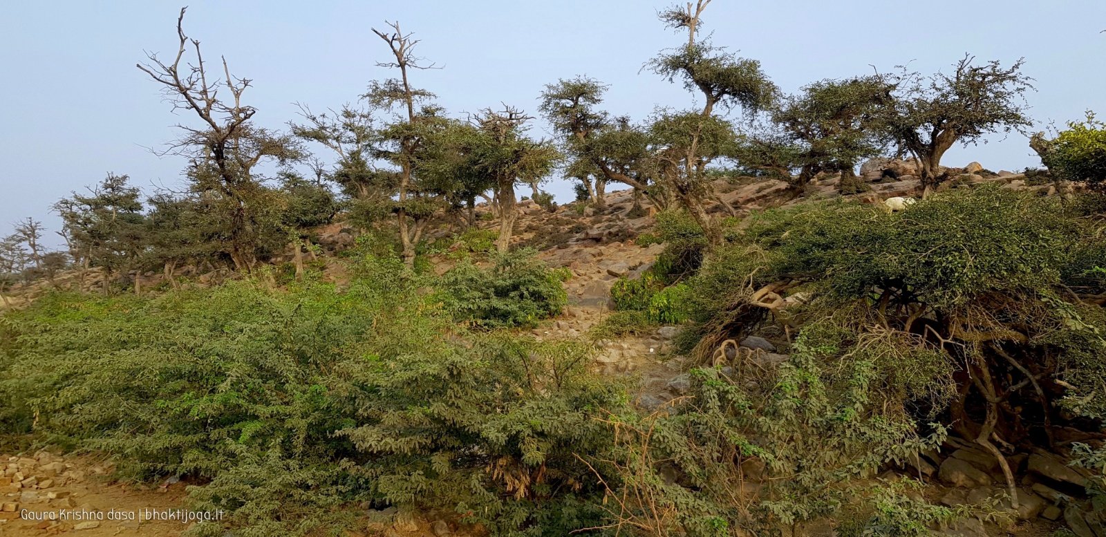  Govardhan hill. 2018.03.14